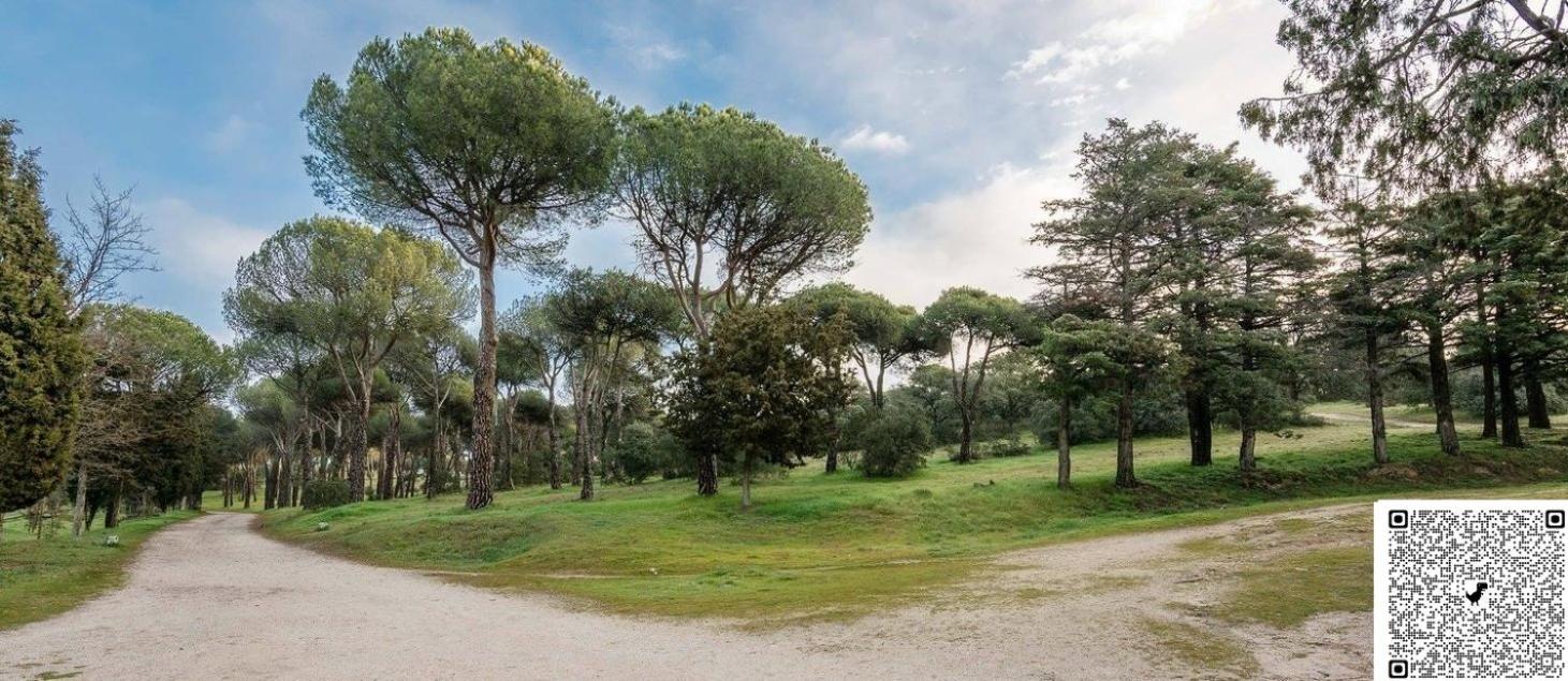 Apartamento Las Rozas Centro Con Parking Incluido ภายนอก รูปภาพ